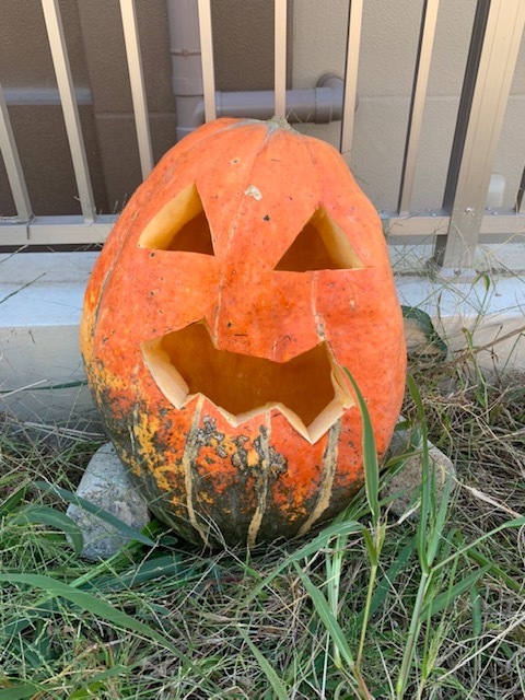 20221111 jack o lantern2